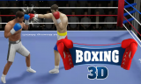 Boxing 3D